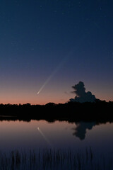 Fototapeta premium Comet Tsuchinshan-ATLAS rises in east over calm water of Nine Mile Pond in Everglades National Park, Florida in early twilight.