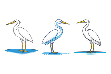 Obraz premium Egret Set Vector Illustration
