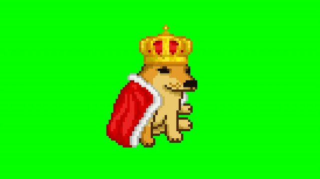 Brown dog king, pixel art meme animation 