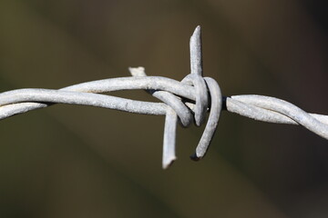 close up of barbed wire
