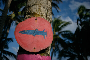 barracuda fish sign on the beach in San Andres island, Colombia