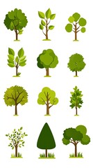 Collection of 12 different tree icons in flat style isolated on white background.