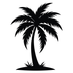 palm tree silhouette