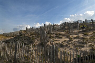 Fences for dune protection, Atlantic coast, La Tranche sur Mer, Vandee, France, Europe