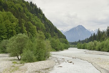 Fototapeta premium River landscape of the Iller near Fischen in the Allgäu, Allgäu Alps, Bavaria, Germany, Europe