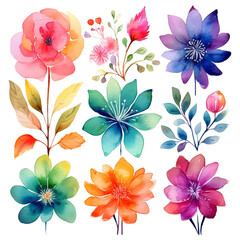 Abstrakte helle Wasserfarben floral set isoliert auf weißen Hintergrund, Freisteller 