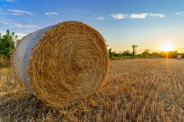 Closeup of a yellow round bale of straw after harvesting