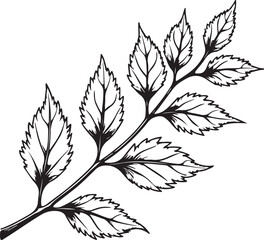  a black and white line drawing of a branch with six leaves. The leaves are arranged in a symmetrical pattern