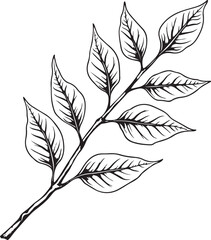  a black and white line drawing of a branch with six leaves. The leaves are arranged in a symmetrical pattern