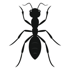 illustration of a ant