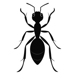 Ant. The silhouette of an ant. An image of an insect in a cartoon style. Vector illustration isolated on a white background
