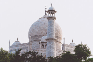 Top of Taj Mahal of india with tree high quality