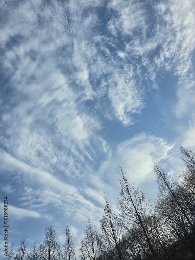 Wall mural beautiful sky with nice clouds