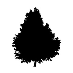 Silhouettes of Diverse Tree Species free download 
