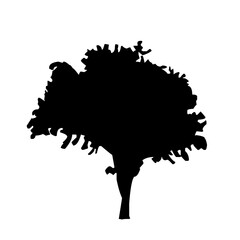 Silhouettes of Diverse Tree Species free download 