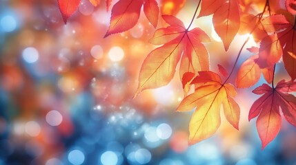 Autumn day at park. Background of the colorful leaves in the autumnal park, Beautiful autumn landscape with Colorful leaves in the park. Falling leaves natural background