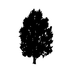 Silhouettes of Diverse Tree Species free download 