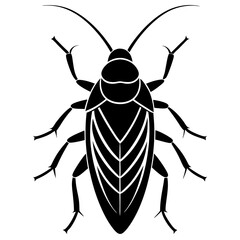 black and white beetle