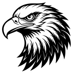 Fototapeta premium eagle head vector