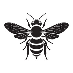 Honey Bee  silhouette