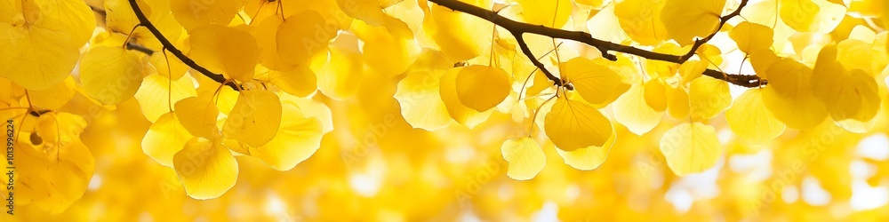 Poster a tree branch with yellow leaves is the main focus of the image. the leaves are arranged in a way th