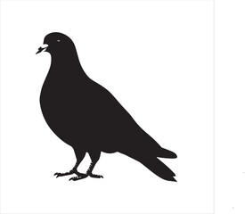 silhouette of a pigeon