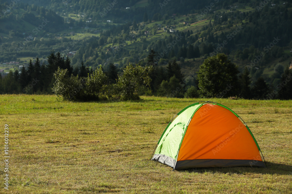 Canvas Prints Tent on green grass in mountains, space for text