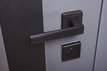 View of door with modern handle, closeup