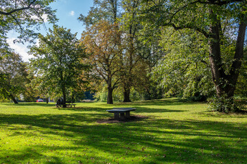 bench in the park