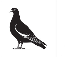 Obraz premium DOVE Adobe Illustrator Artwork