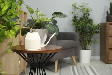 Watering can and beautiful houseplant on wooden table indoors