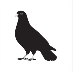 DOVE  Adobe Illustrator Artwork