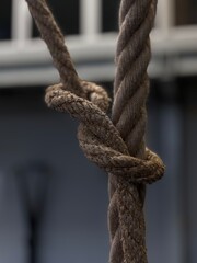 Climbing rope in a CrossFit gym setup.