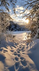 A snowy landscape with deep, snow-covered ground, bathed in the golden glow of sunrise