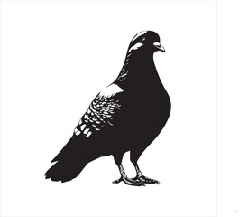 pigeon isolated on white background, bird, silhouette, eagle, vector, flying, animal, illustration, wing, nature, black, birds, dove, feather, wings, tattoo, fly, hawk, design, wildlife, flight, freed