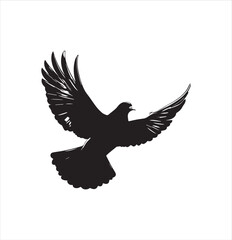 Fototapeta premium pigeon isolated on white background