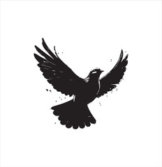 Fototapeta premium pigeon isolated on white background, bird, silhouette, eagle, vector, flying, animal, illustration, wing, nature, black, birds, dove, feather, wings, tattoo, fly, hawk, design, wildlife, flight, freed