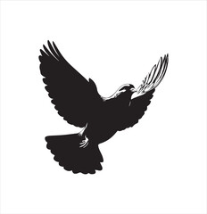 pigeon isolated on white background, bird, silhouette, eagle, vector, flying, animal, illustration, wing, nature, black, birds, dove, feather, wings, tattoo, fly, hawk, design, wildlife, flight, freed