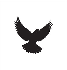 pigeon isolated on white background, bird, silhouette, eagle, vector, flying, animal, illustration, wing, nature, black, birds, dove, feather, wings, tattoo, fly, hawk, design, wildlife, flight, freed