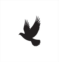 pigeon isolated on white background, bird, silhouette, eagle, vector, flying, animal, illustration, wing, nature, black, birds, dove, feather, wings, tattoo, fly, hawk, design, wildlife, flight, freed