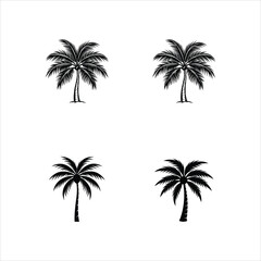 simple coconut palm tree vector