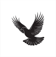 pigeon isolated on white background, bird, silhouette, eagle, vector, flying, animal, illustration, wing, nature, black, birds, dove, feather, wings, tattoo, fly, hawk, design, wildlife, flight, freed