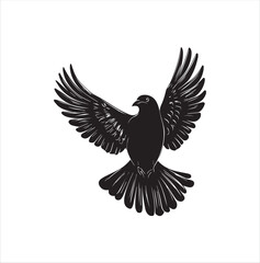 pigeon isolated on white background, bird, silhouette, eagle, vector, flying, animal, illustration, wing, nature, black, birds, dove, feather, wings, tattoo, fly, hawk, design, wildlife, flight, freed
