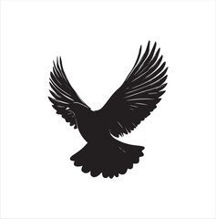 pigeon isolated on white background, bird, silhouette, eagle, vector, flying, animal, illustration, wing, nature, black, birds, dove, feather, wings, tattoo, fly, hawk, design, wildlife, flight, freed