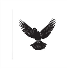 pigeon isolated on white background, bird, silhouette, eagle, vector, flying, animal, illustration, wing, nature, black, birds, dove, feather, wings, tattoo, fly, hawk, design, wildlife, flight, freed