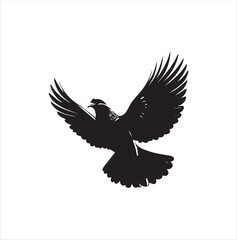 Obraz premium pigeon isolated on white background, bird, silhouette, eagle, vector, flying, animal, illustration, wing, nature, black, birds, dove, feather, wings, tattoo, fly, hawk, design, wildlife, flight, freed