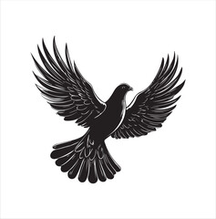 pigeon isolated on white background, bird, silhouette, eagle, vector, flying, animal, illustration, wing, nature, black, birds, dove, feather, wings, tattoo, fly, hawk, design, wildlife, flight, freed