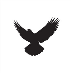 pigeon isolated on white background, bird, silhouette, eagle, vector, flying, animal, illustration, wing, nature, black, birds, dove, feather, wings, tattoo, fly, hawk, design, wildlife, flight, freed