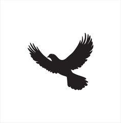Obraz premium pigeon isolated on white background, bird, silhouette, eagle, vector, flying, animal, illustration, wing, nature, black, birds, dove, feather, wings, tattoo, fly, hawk, design, wildlife, flight, freed