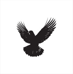 pigeon isolated on white background, bird, silhouette, eagle, vector, flying, animal, illustration, wing, nature, black, birds, dove, feather, wings, tattoo, fly, hawk, design, wildlife, flight, freed